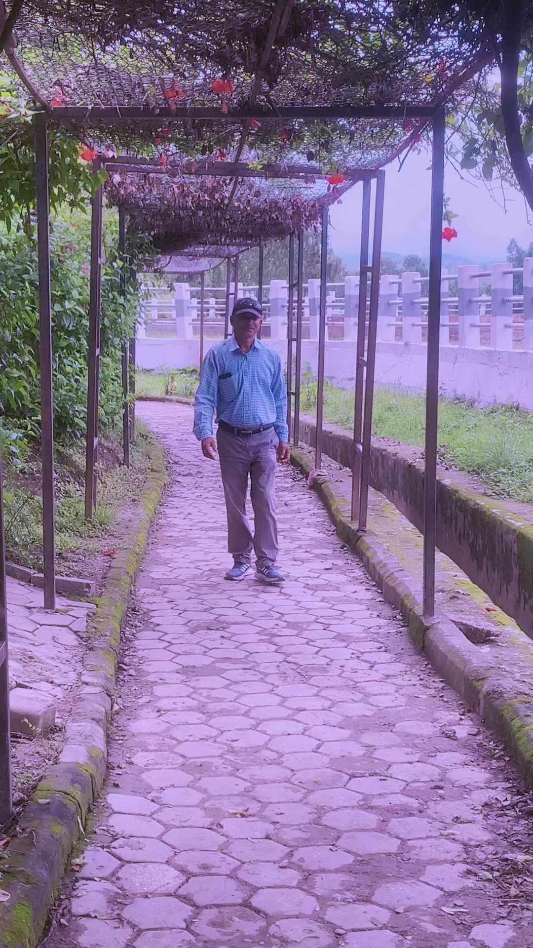 @Adhikari Devi