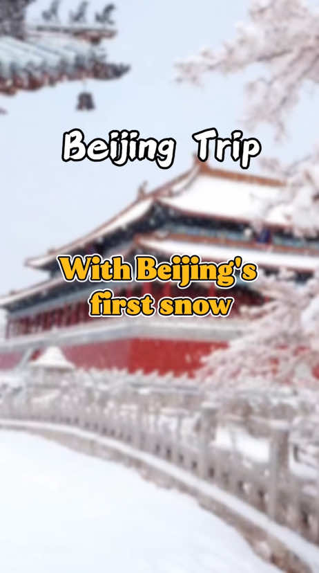 @金马国旅
