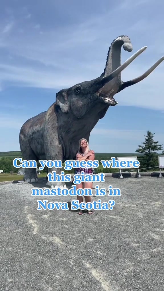@Scotianmotion