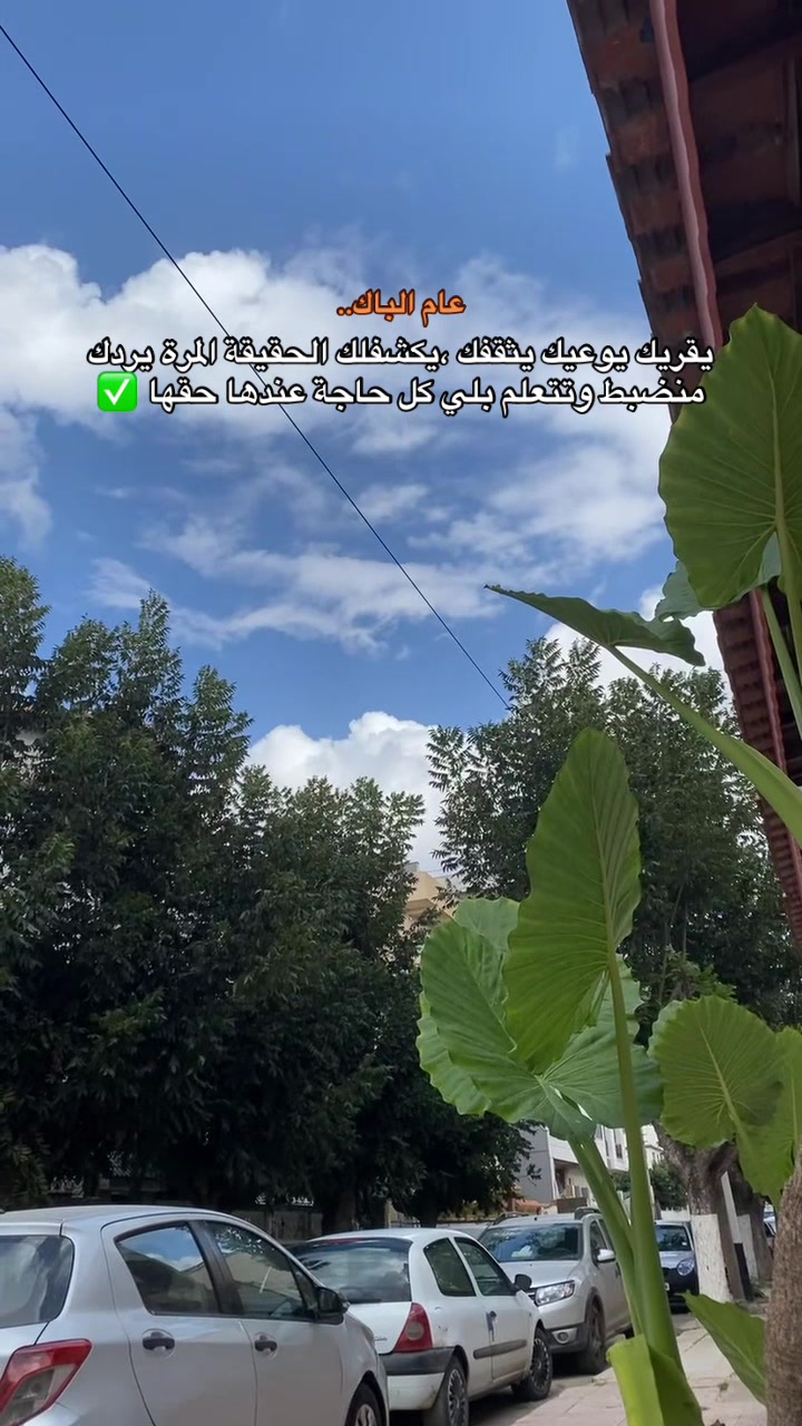 @Mehdi Mesloub