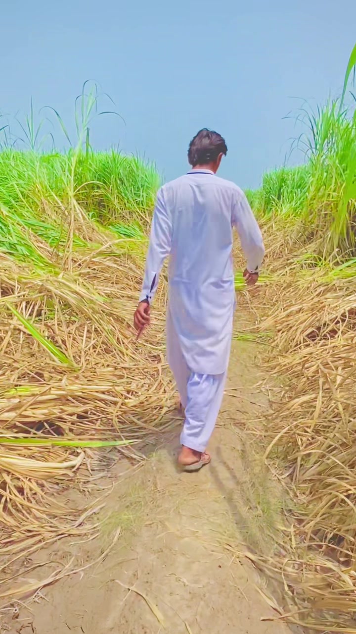 @꧁𓊈𒆜 کانجو محکمہ 𒆜𓊉꧂