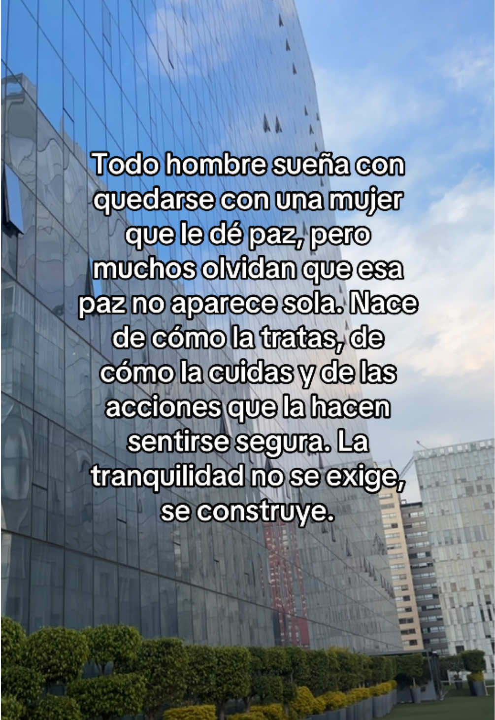@aleey Galindo