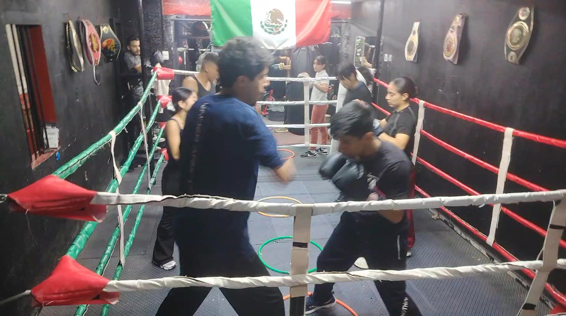 @Carreras Boxing Master