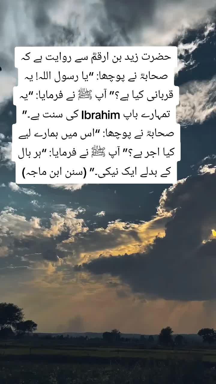 @💪🦅&Ntilde;R🦅🇵🇰