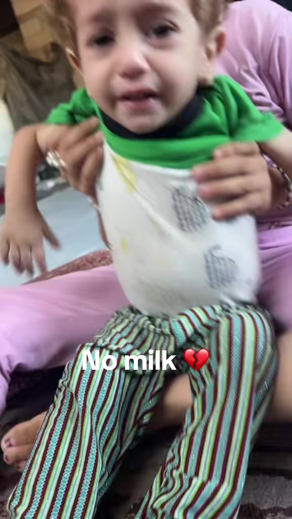 @shoug 🇵🇸