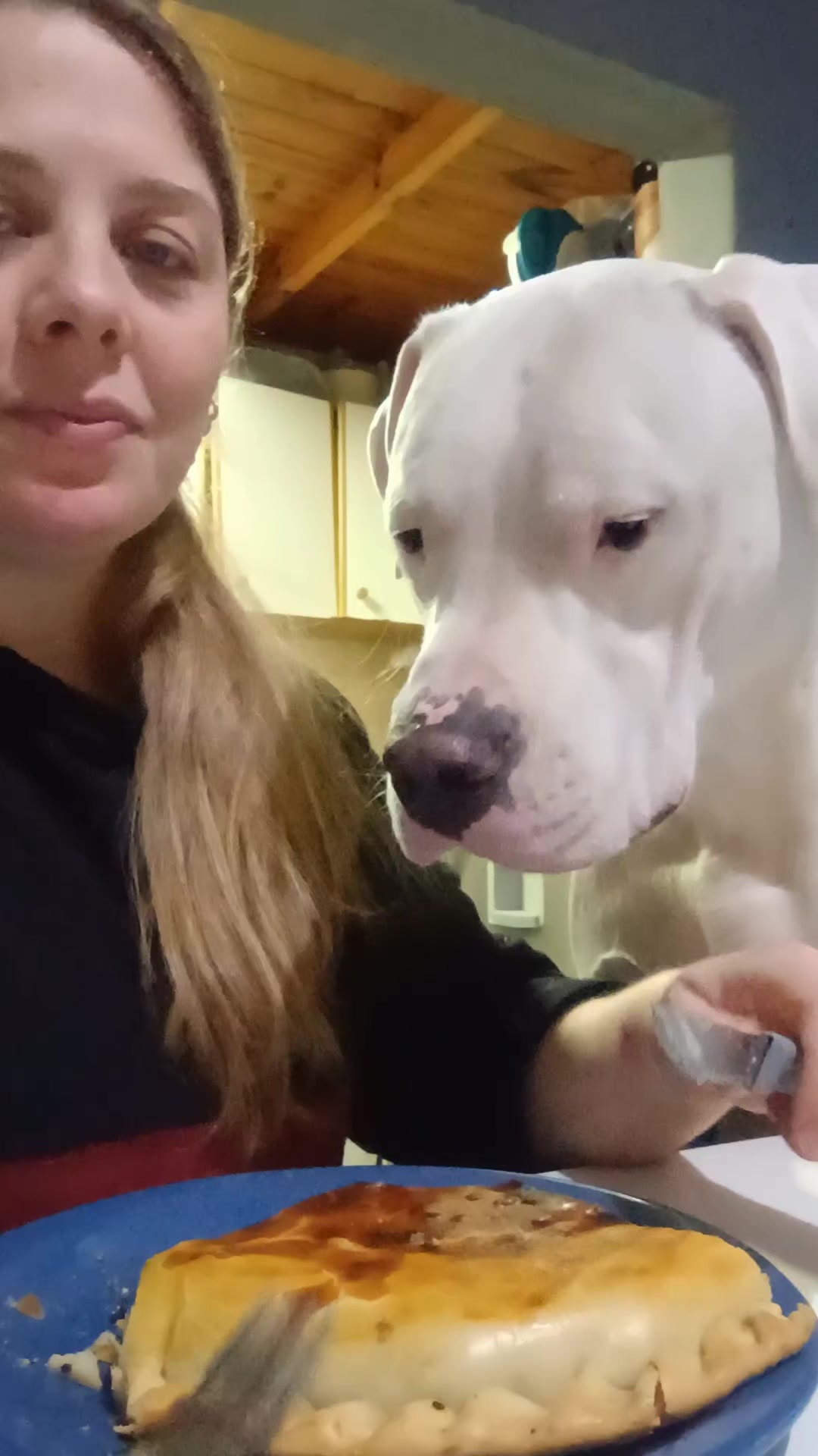 @Flor&Tango Dogo Argentino 🇦🇷