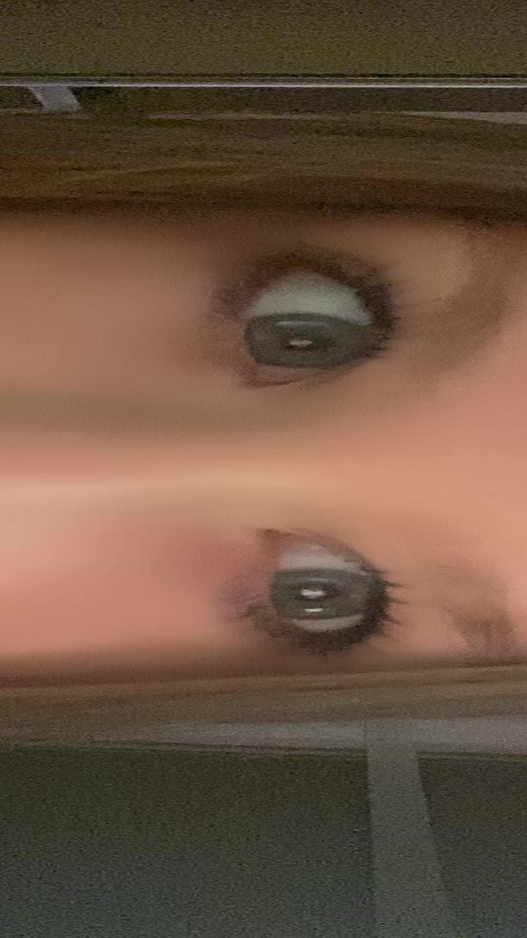 @Прошка67🐈⬛🪽