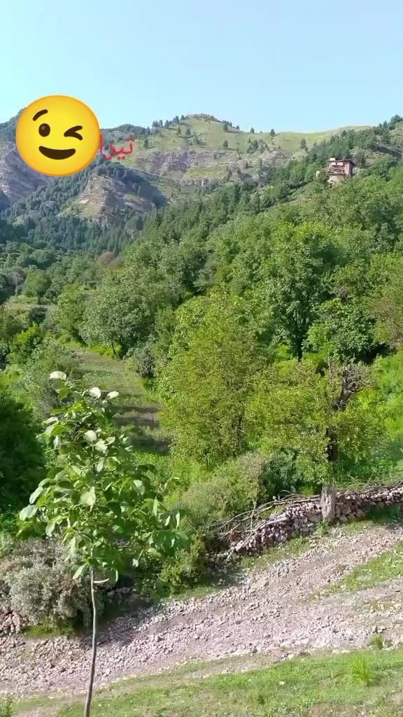 @༄●⃝AFRIDI☯࿐