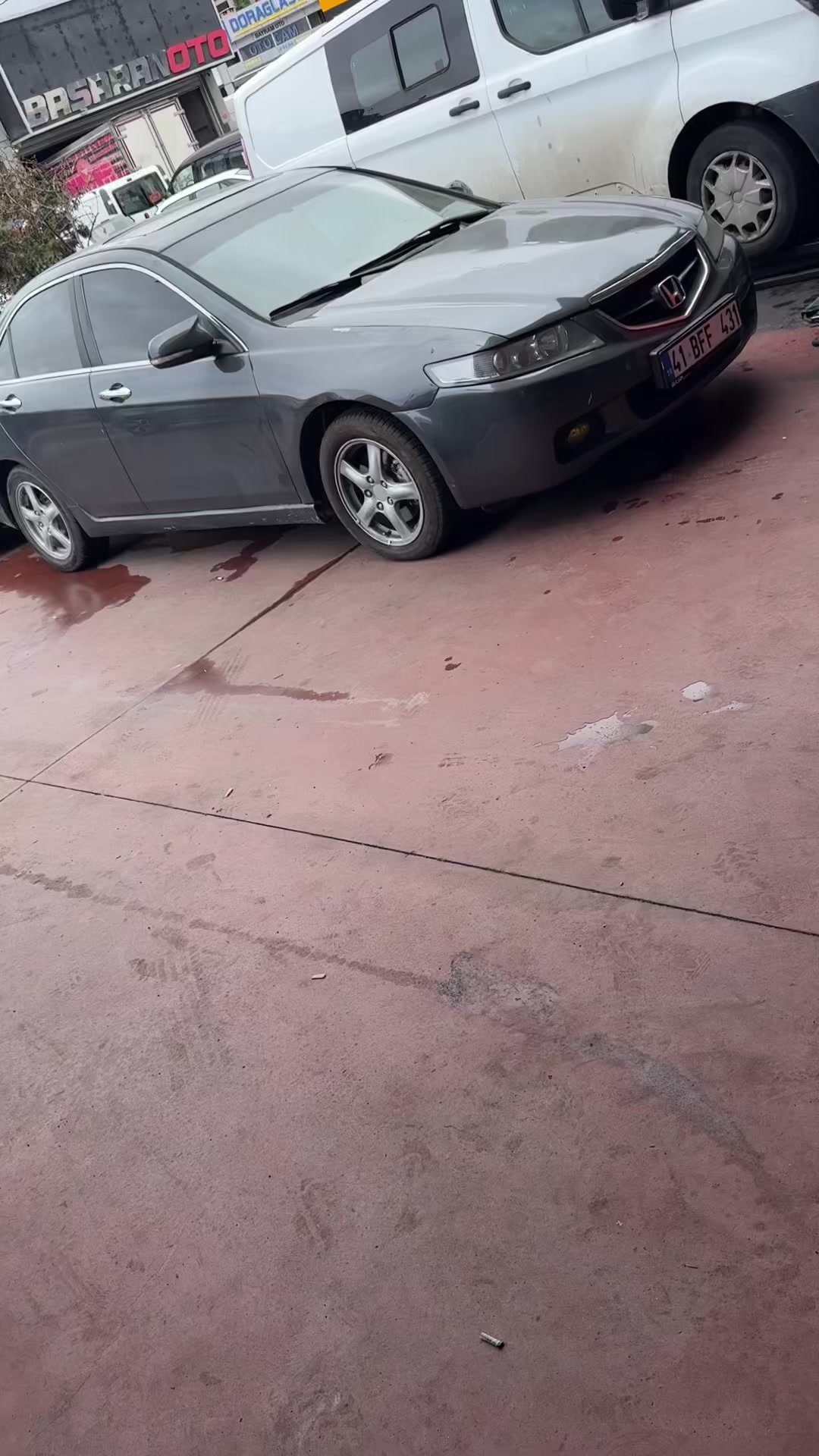 @&Ccedil;ağlayan Alg&uuml;l