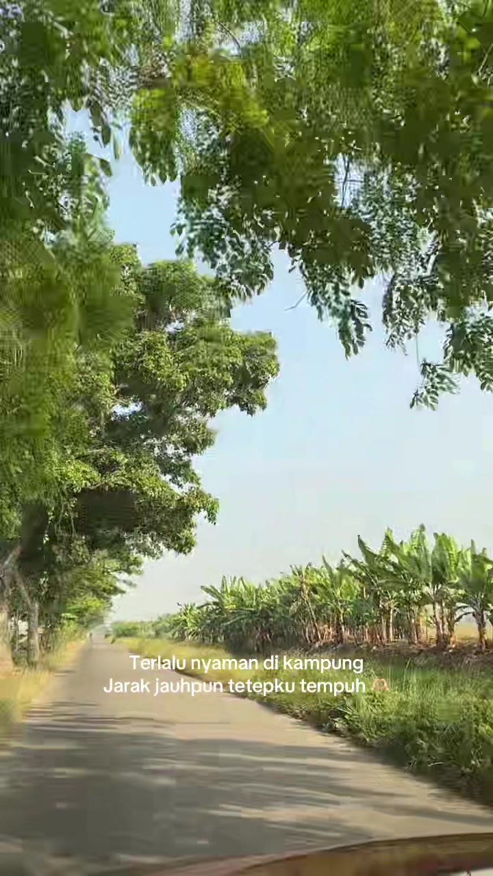 @sayyida