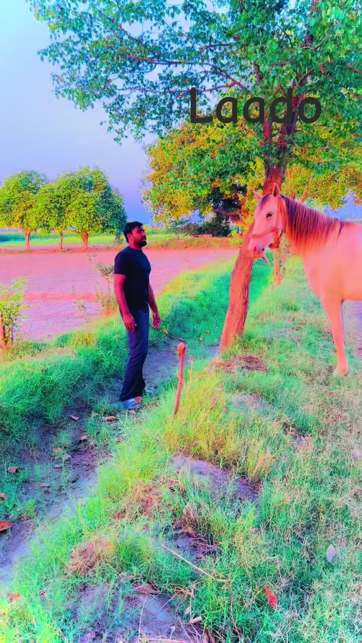 @Badar Wattoo