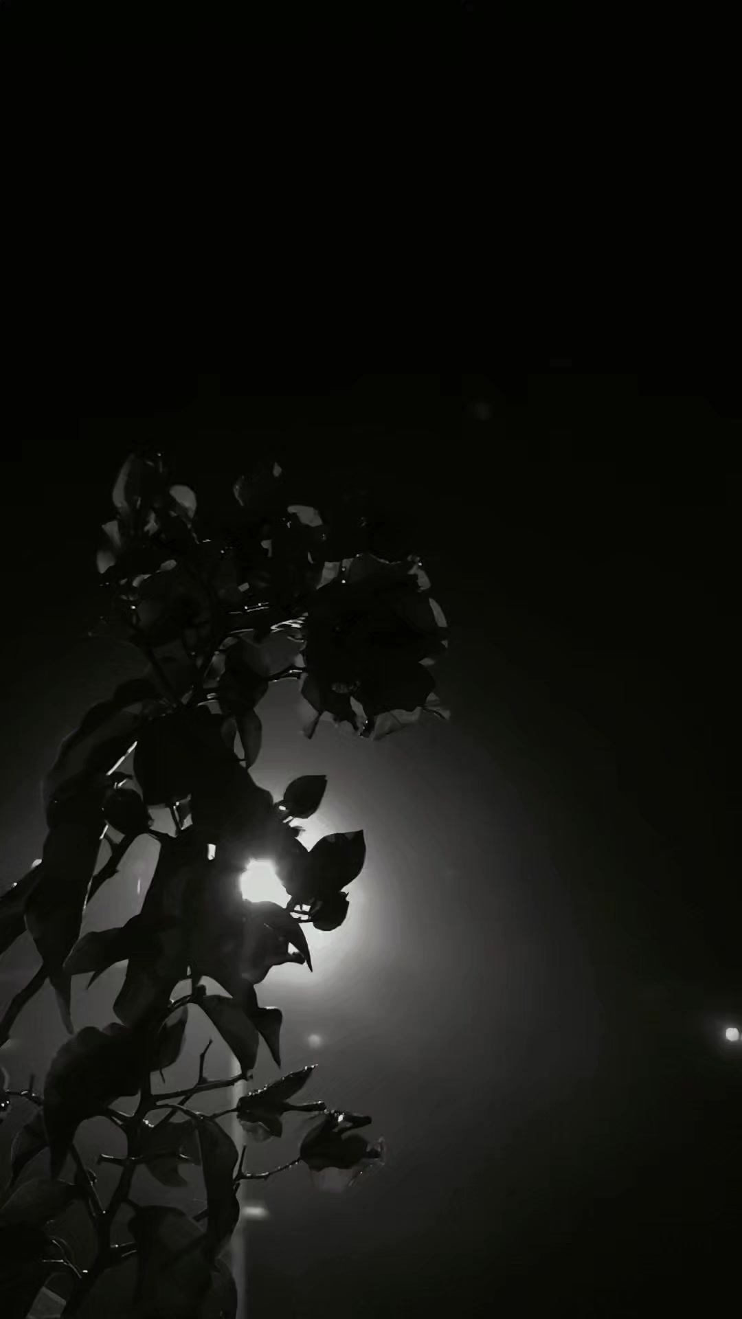 @Ƙɑɾɑ Տҽѵժɑʍ...