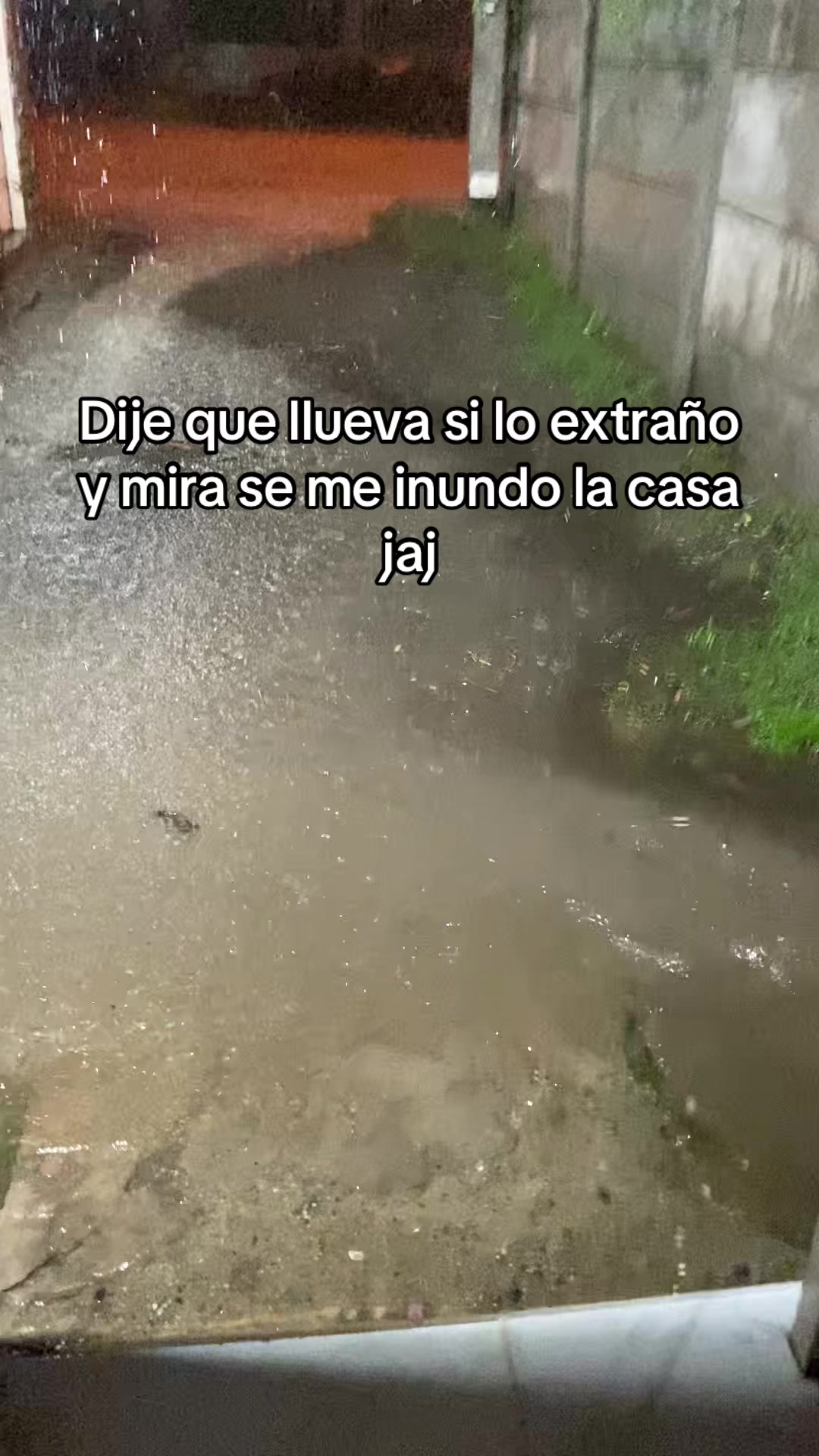 @M i c a e l a