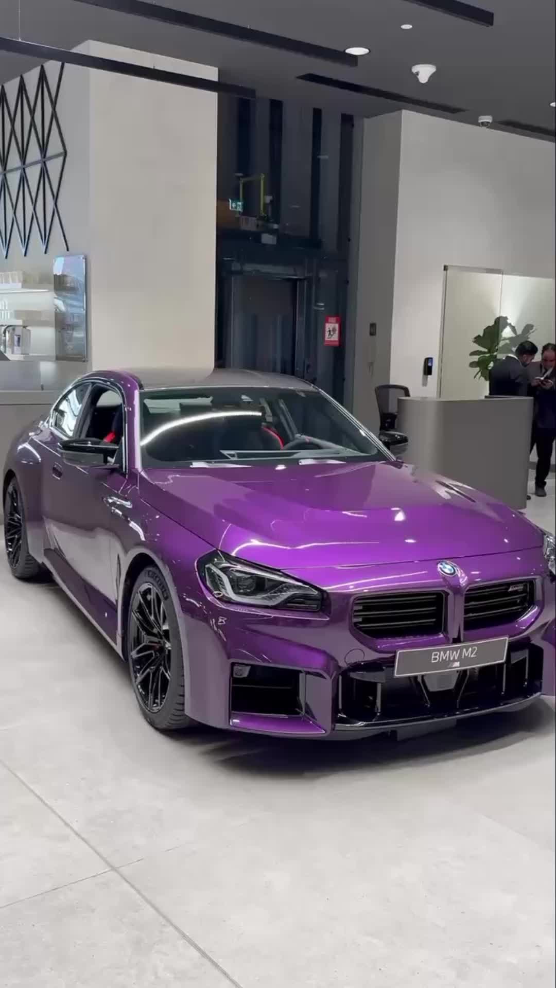 @🤑DANTE🤑