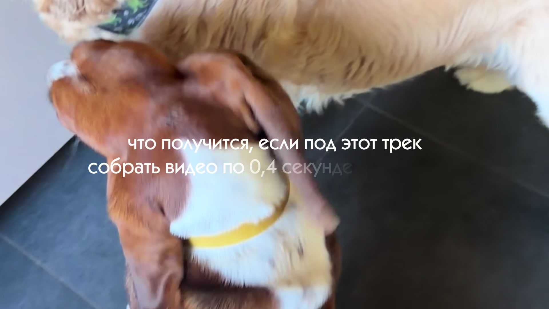 @kris_zoohotel