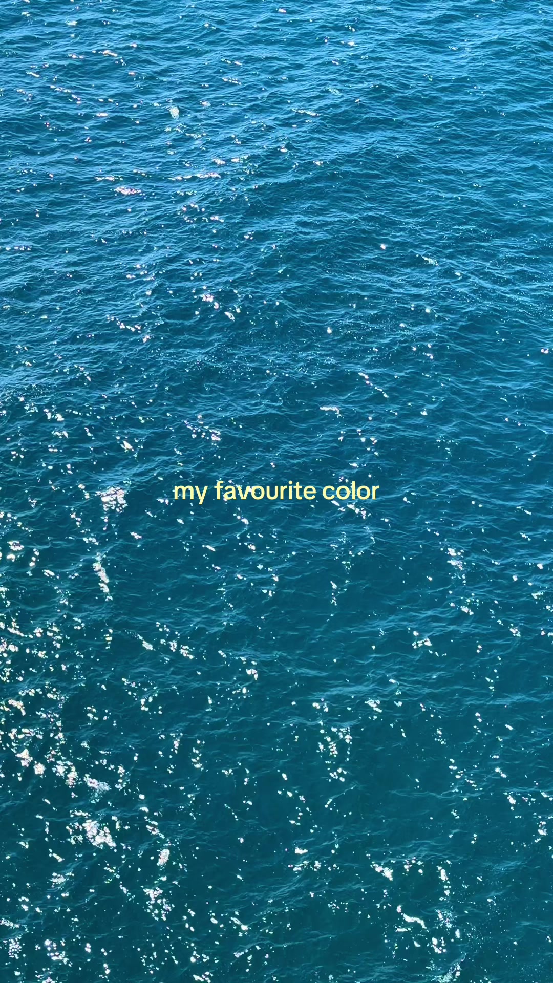 @lostinthelens