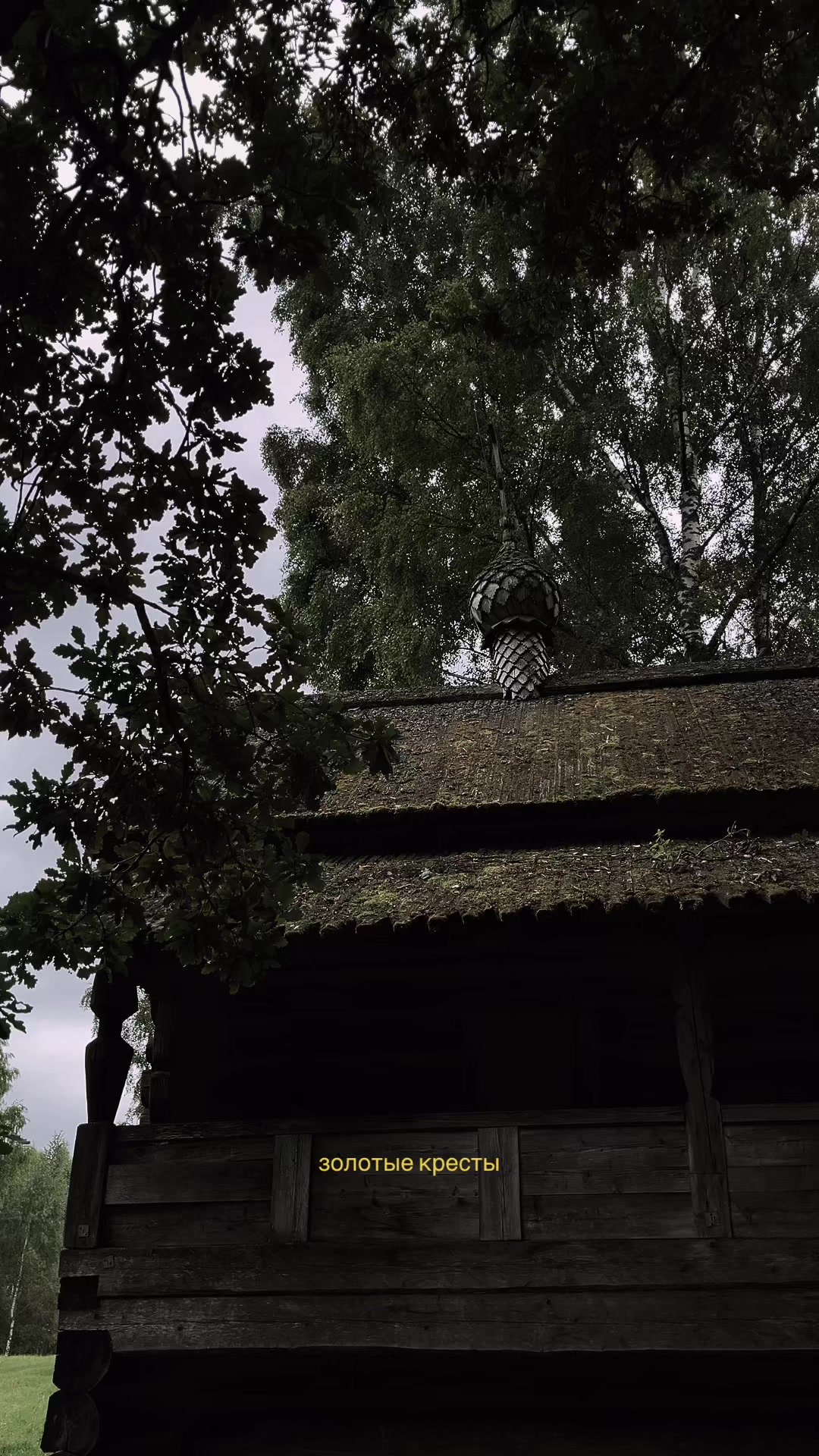@лейнн