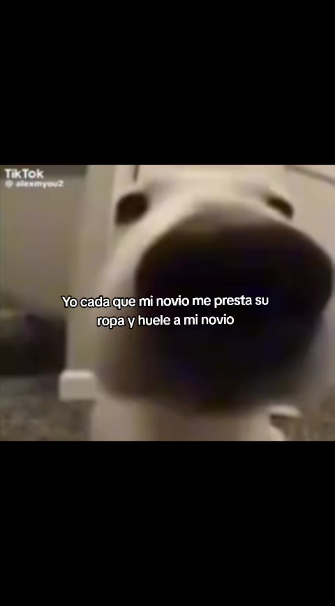 @Heilyyxd