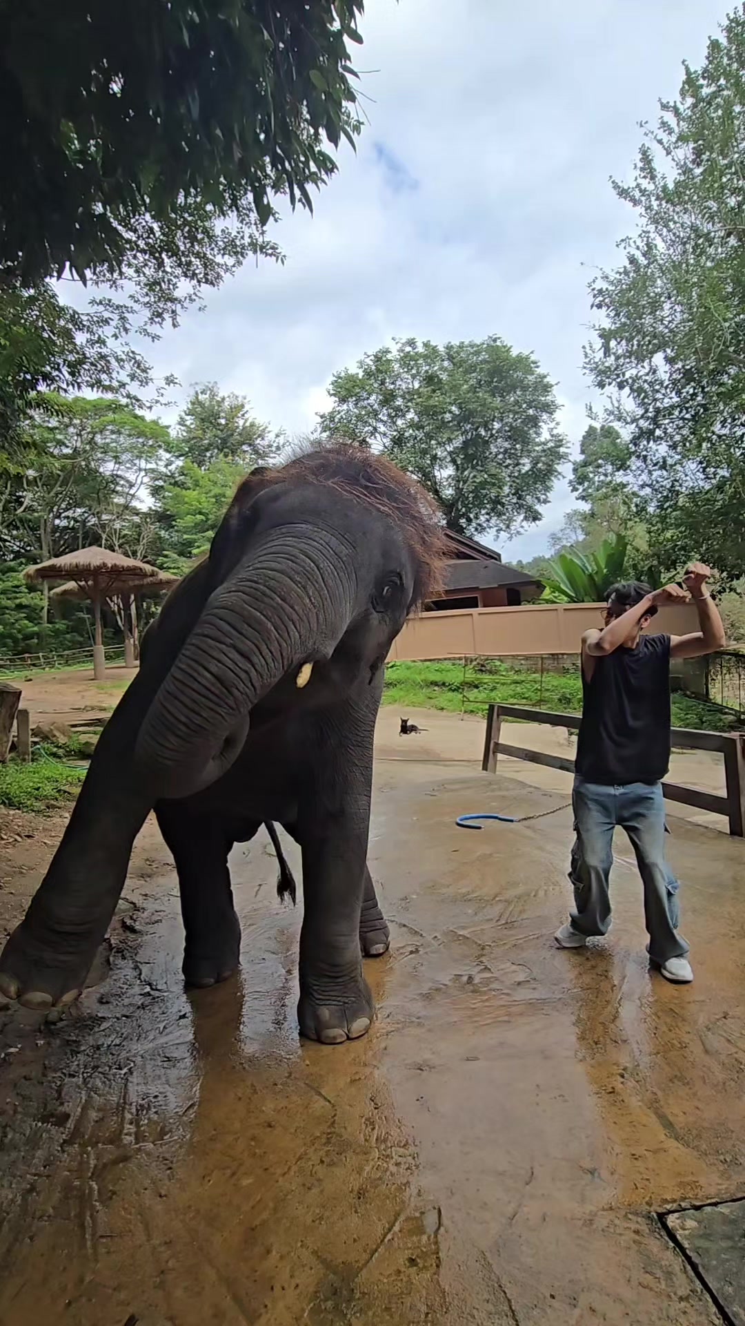 @ควาญแดง พลายภูพิงค์