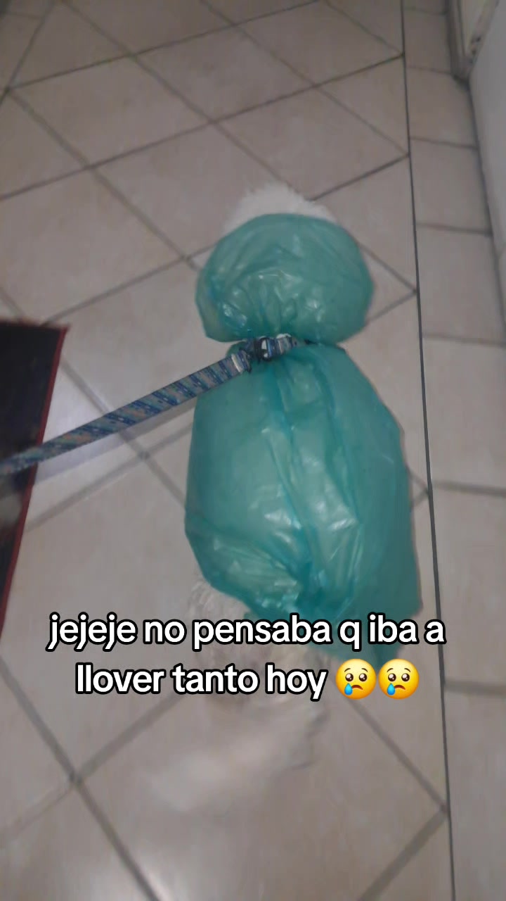 @RositaConAmor🇵🇪🇨🇱