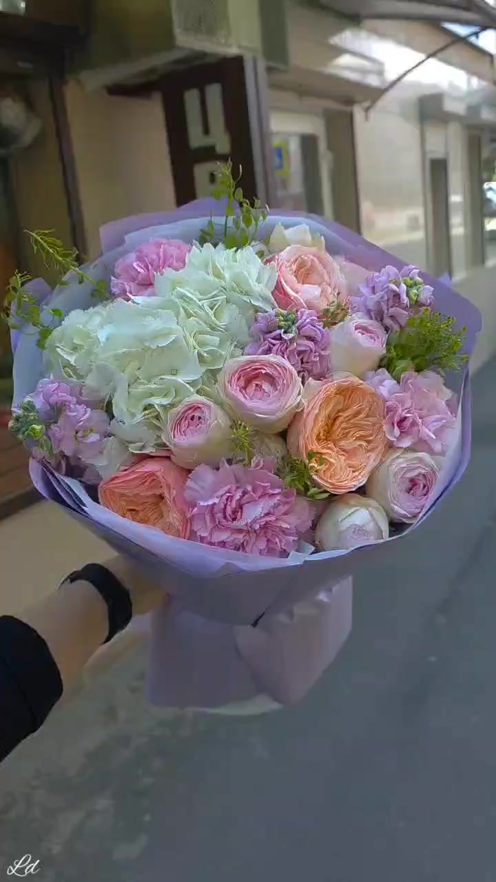 @Dominika