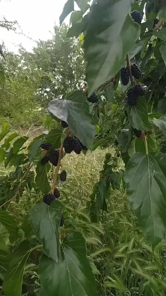@Эрхан