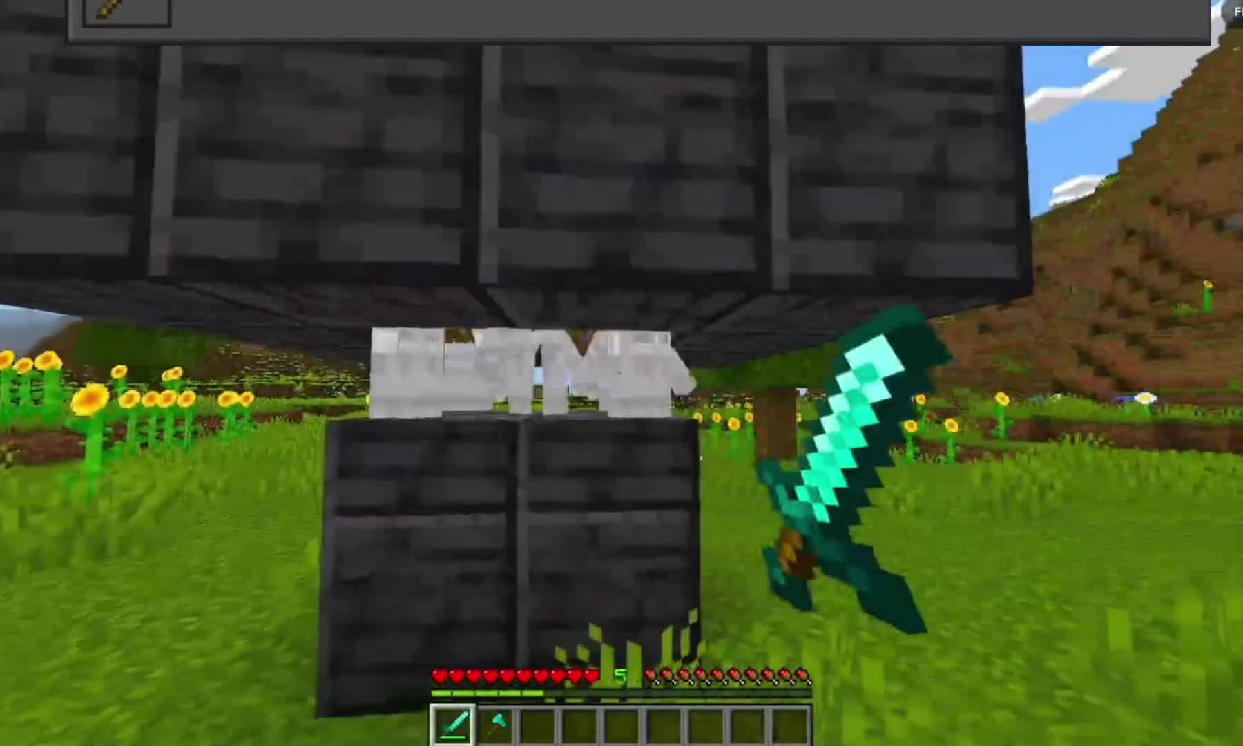 @geominicraft
