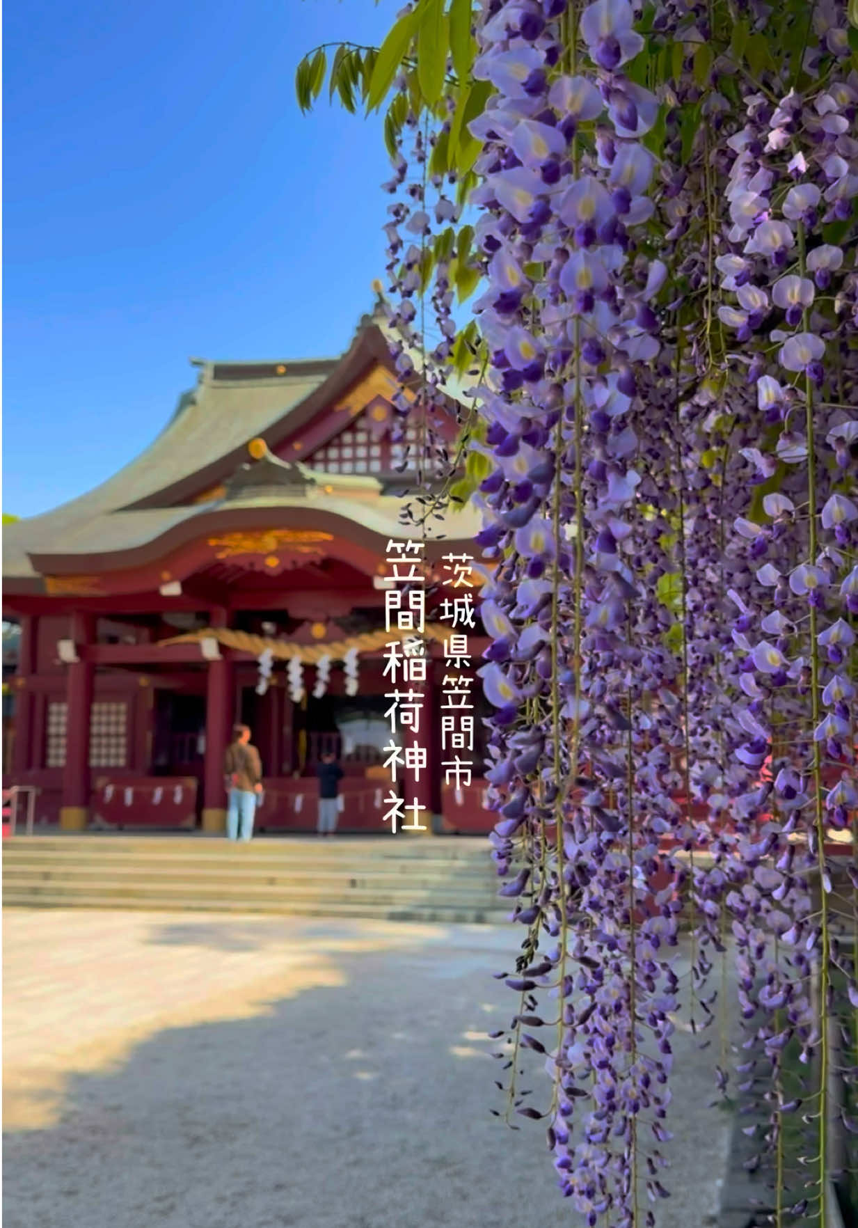 @けん/茨城の絶景