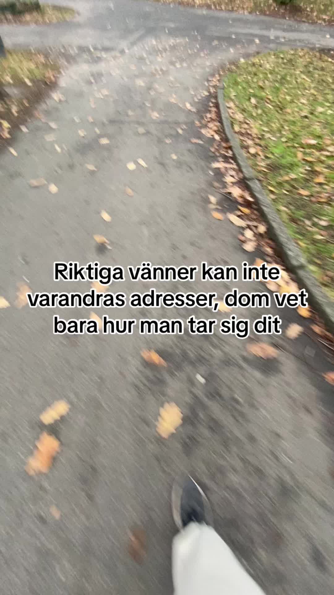 @DenKortaMarockanen