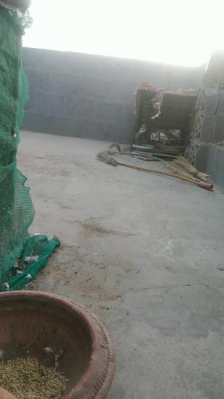 @Sadaqat Arain