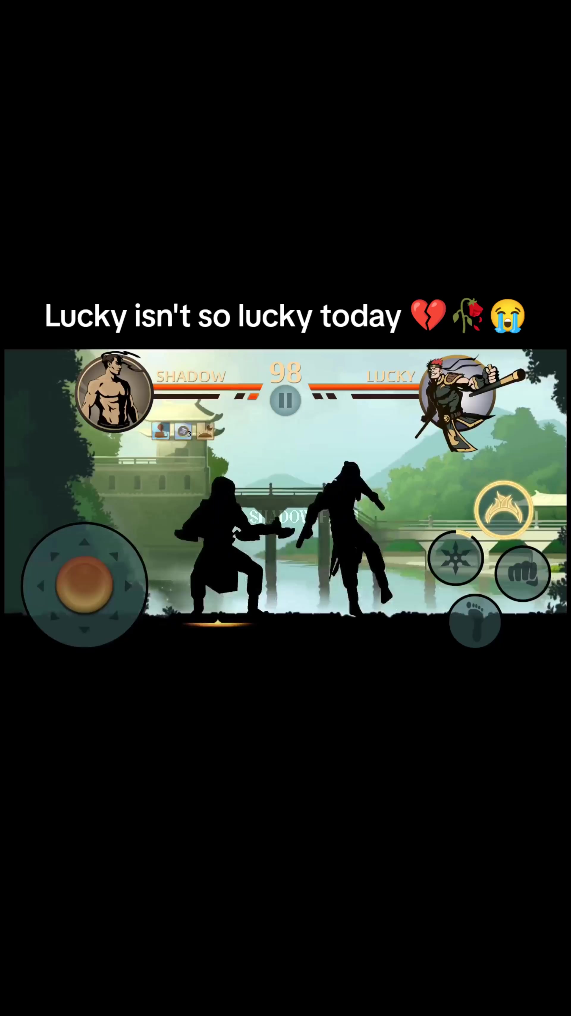 @Amir Shadow Fight