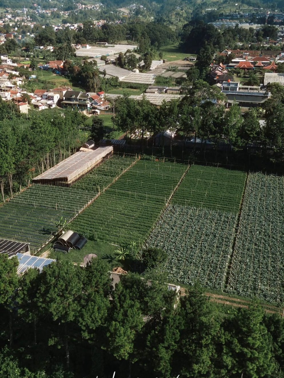 @terbang santai