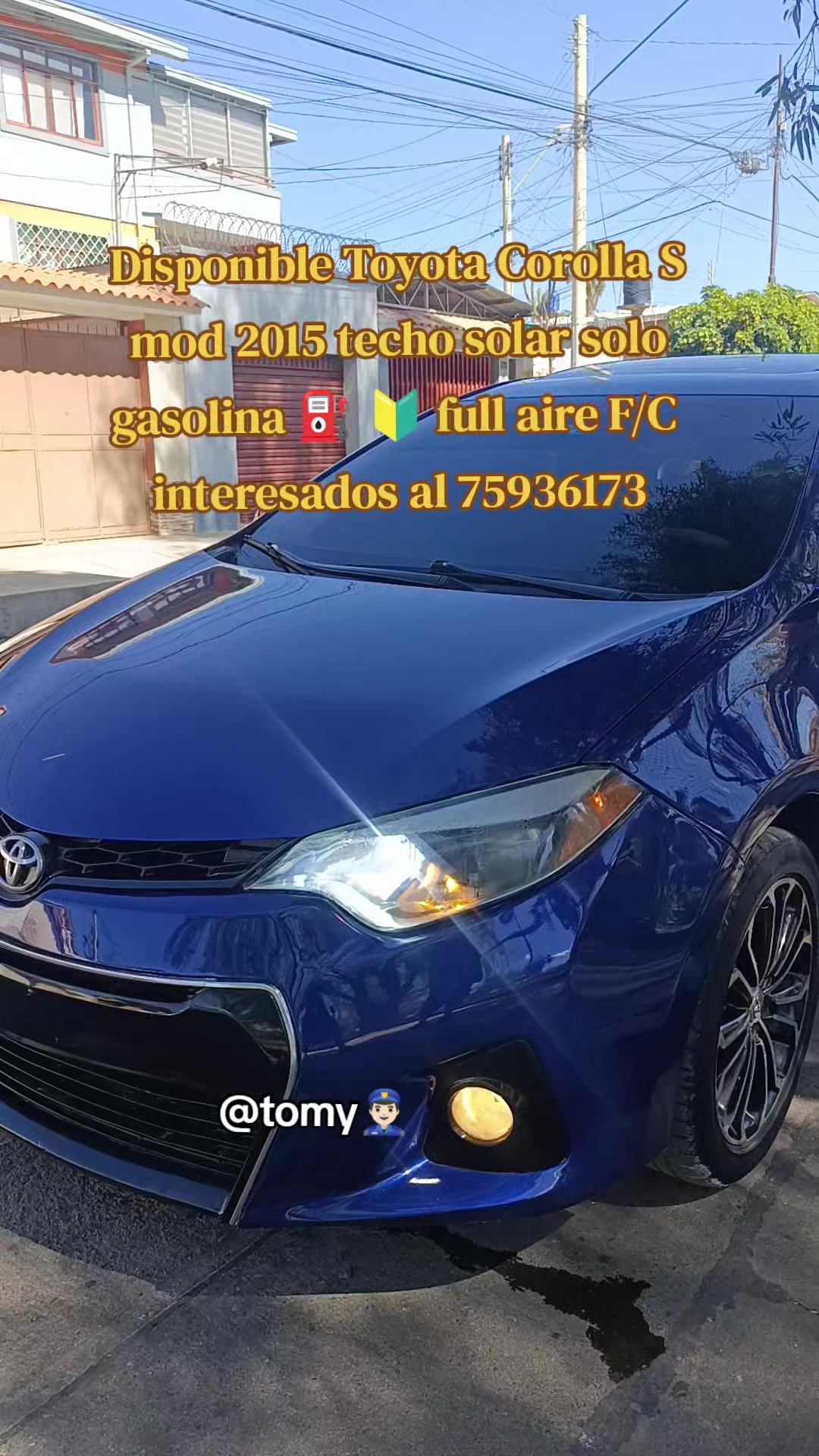 @🔰㊙️TOMY😎🇯🇵