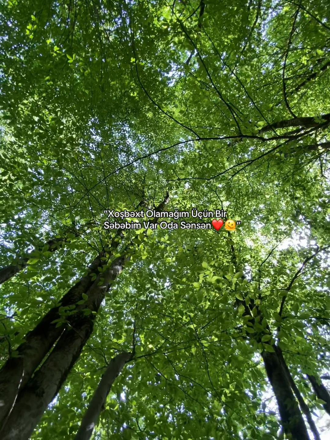 @𝐅𝐚𝐦𝐢𝐥❤️&zwj;🩹🩹