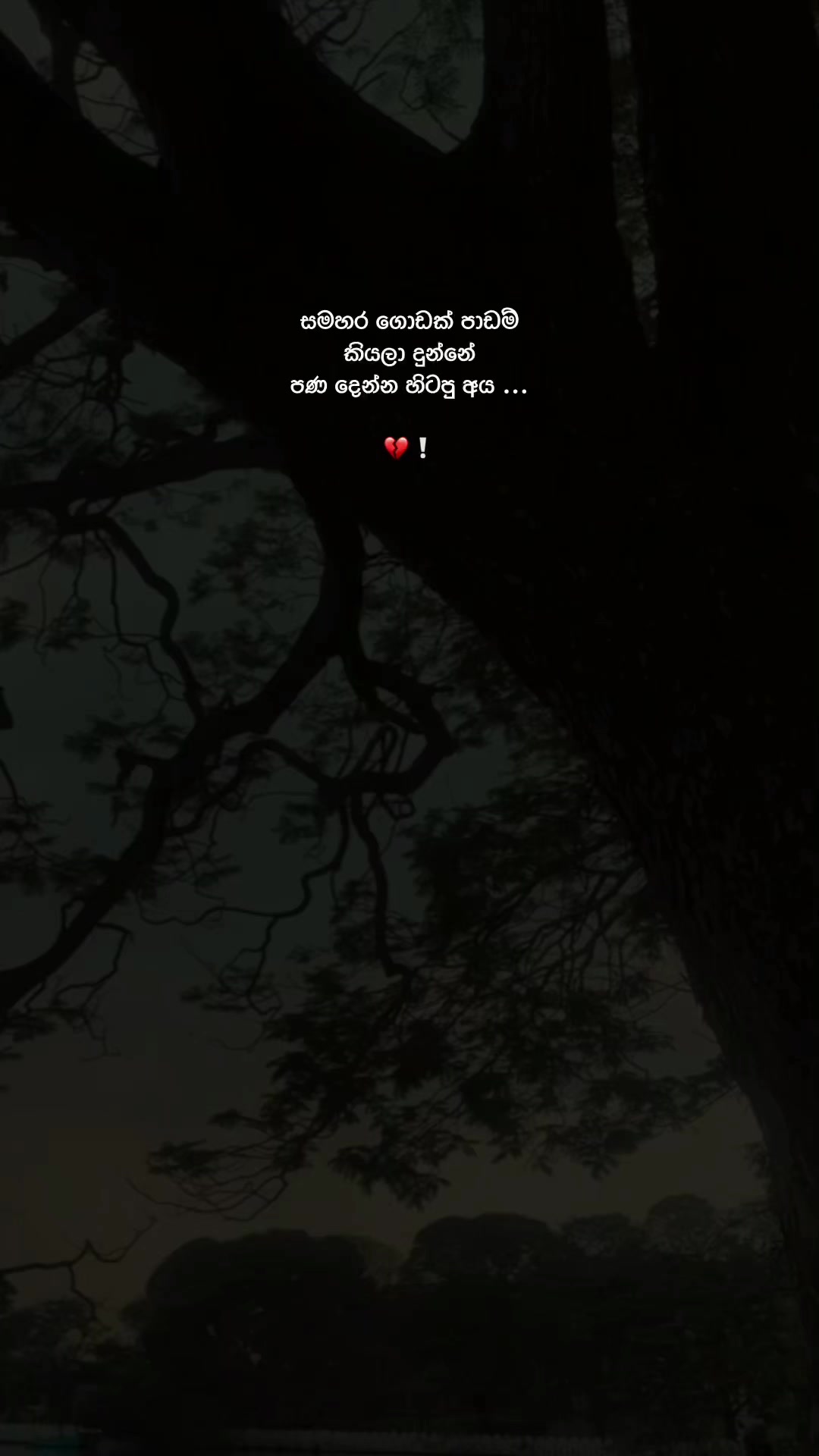@𝙎𝙝𝙚𝙣 ❕