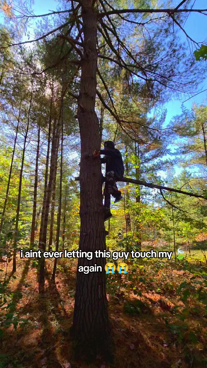 @Hex