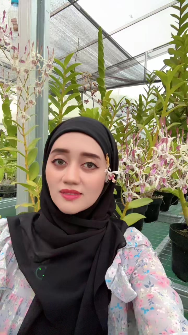 @Anggina Orchid