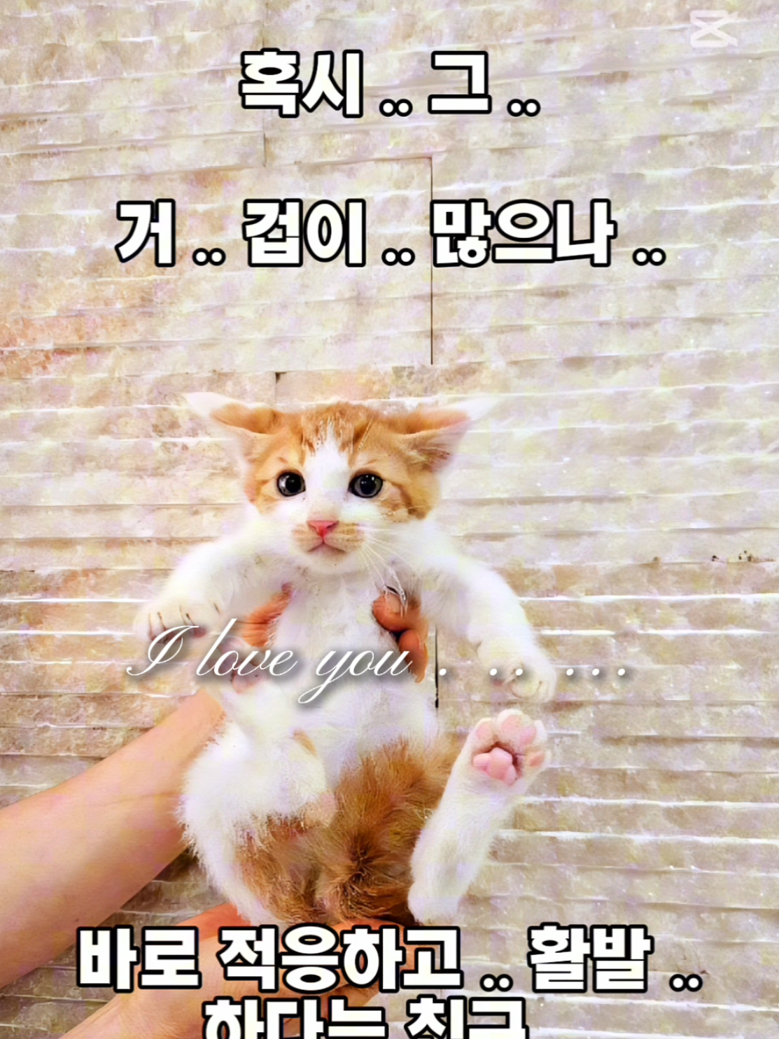 @๐ง๐น๊ผญ์ง์ ํธํ๋๐ชถ๐ง