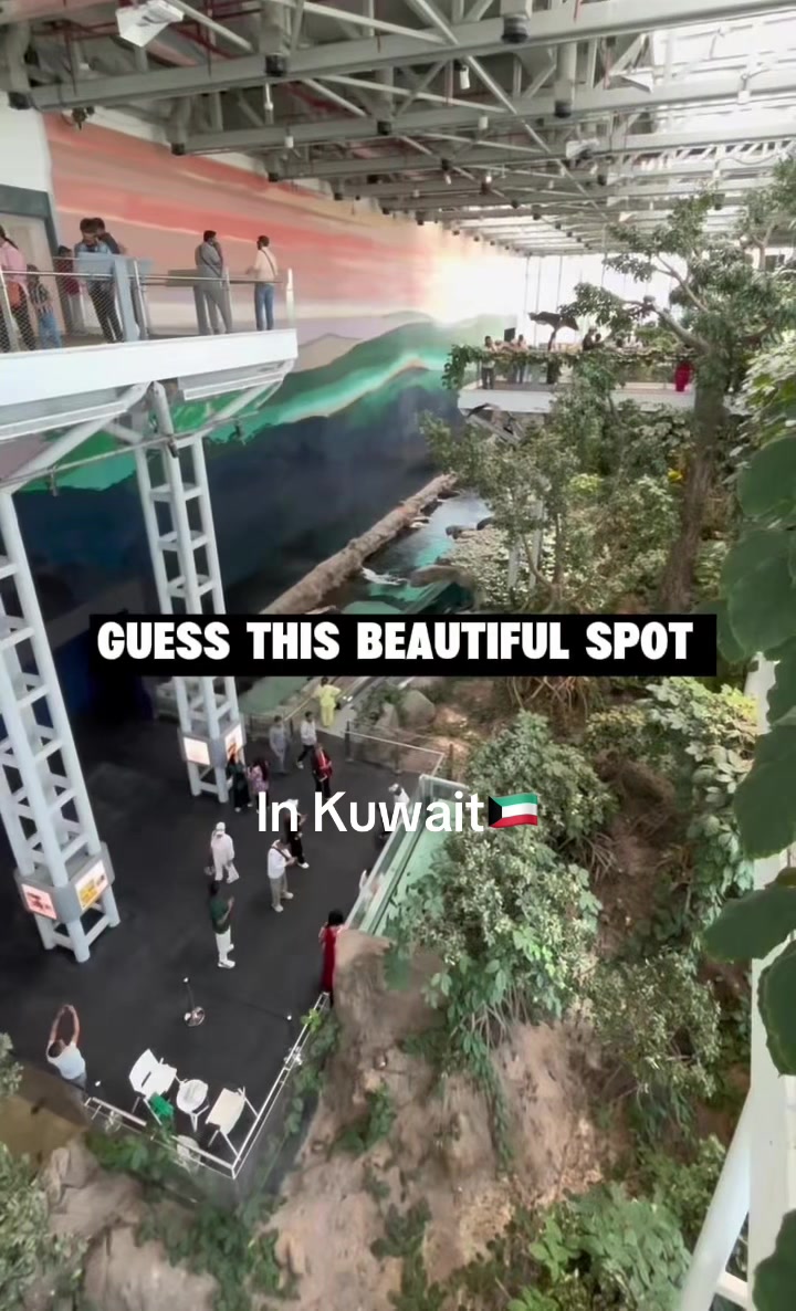 @Hussainhk