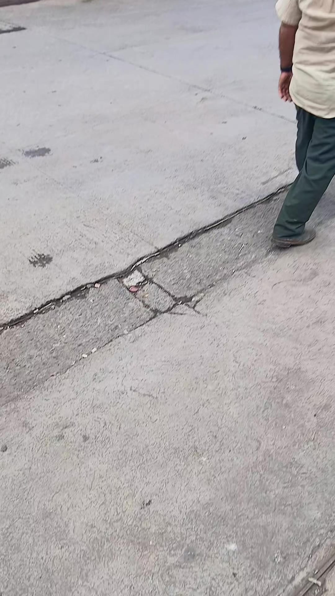 @buses de centroamérica