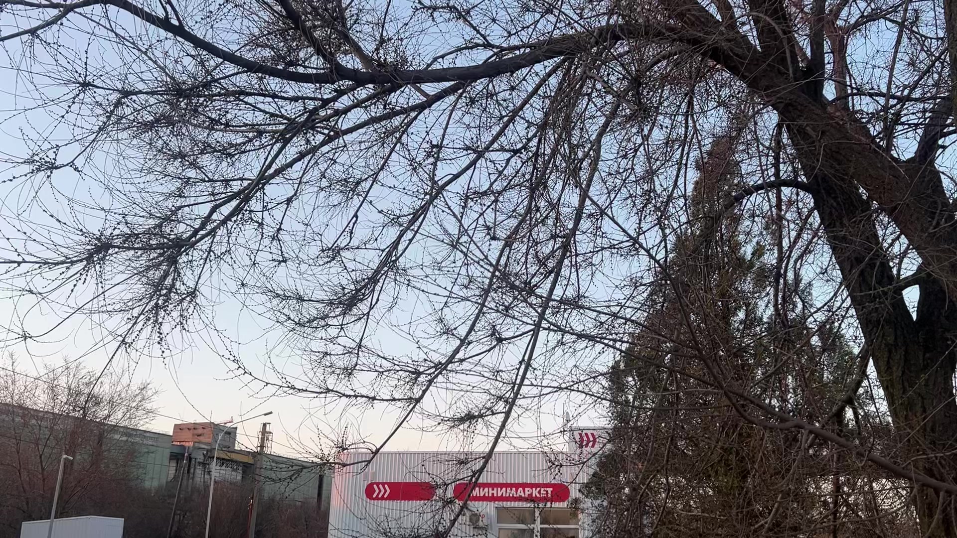 @🥷🏿