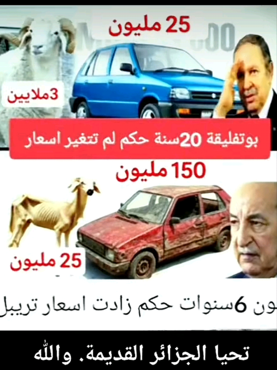 @طارق عبد الوهاب 🇩🇿