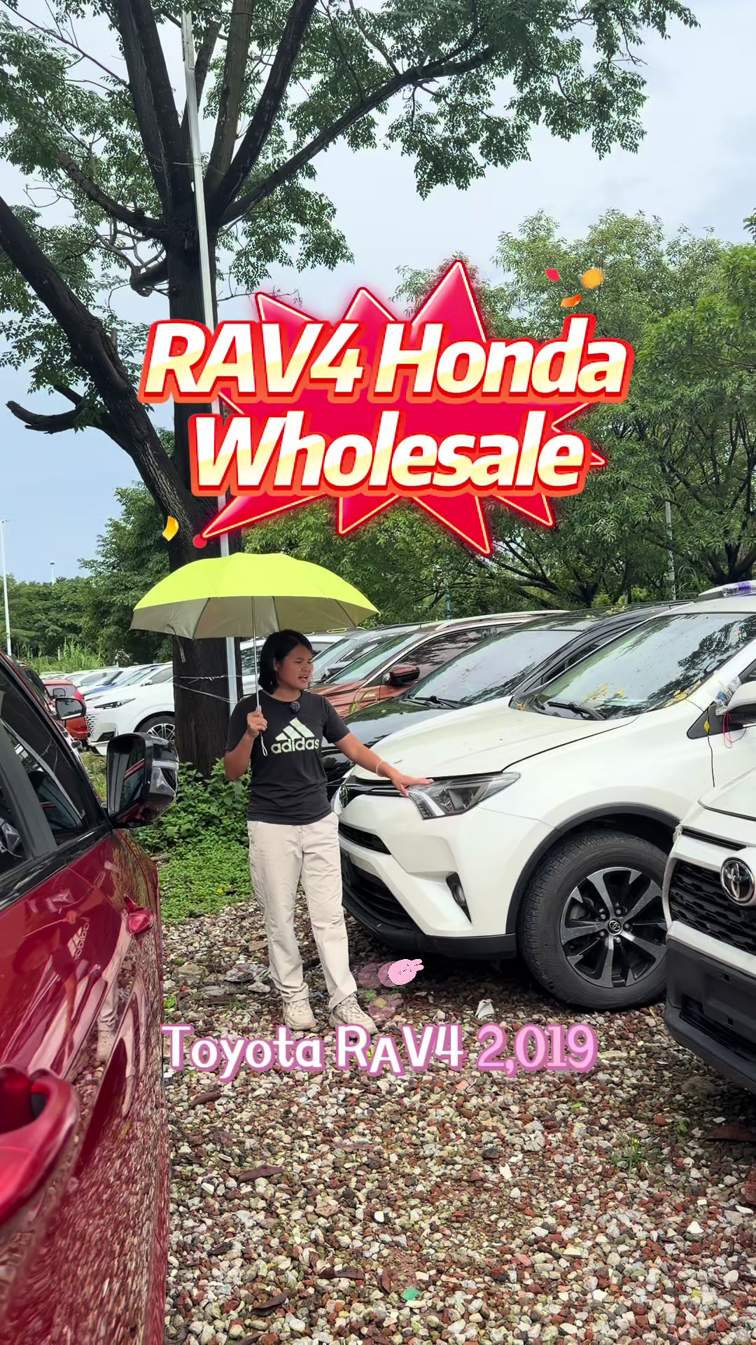 @May🇨🇳Auto Export