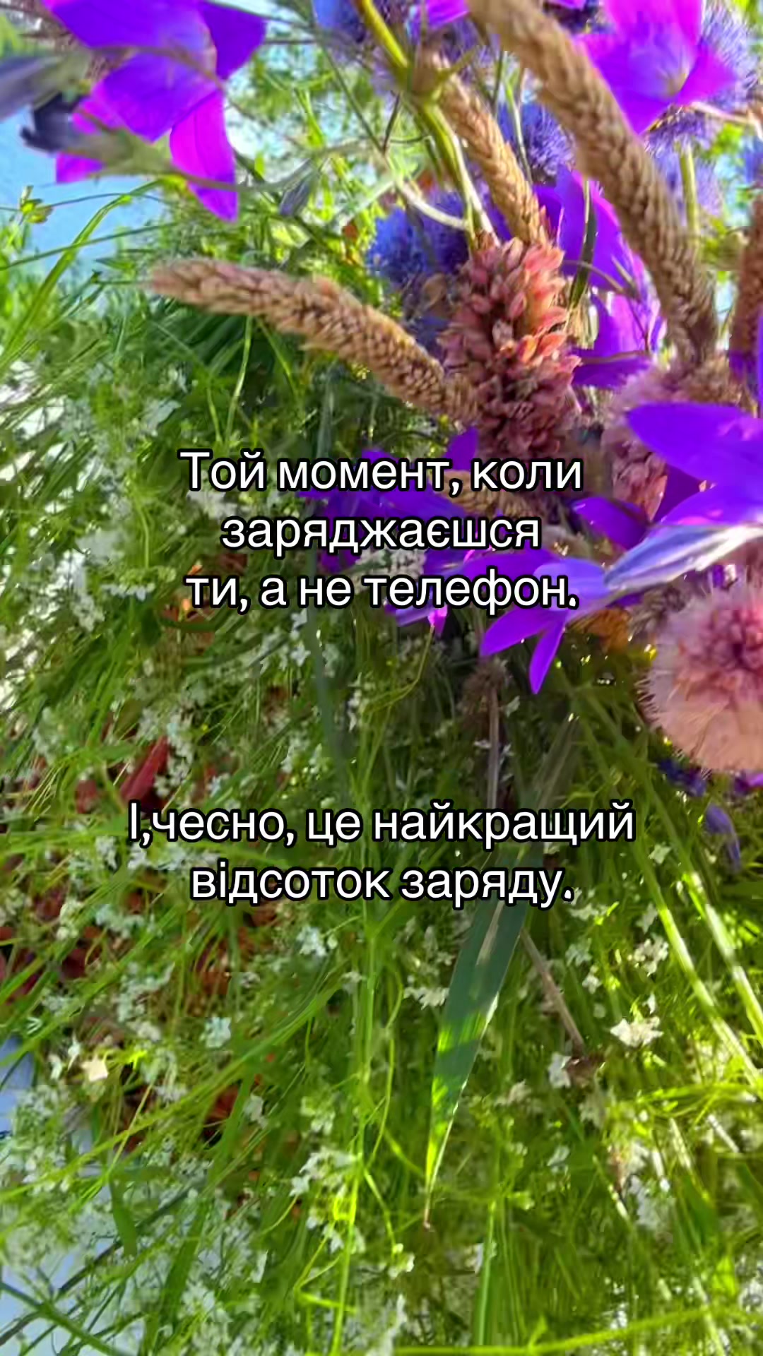@Анжела😉