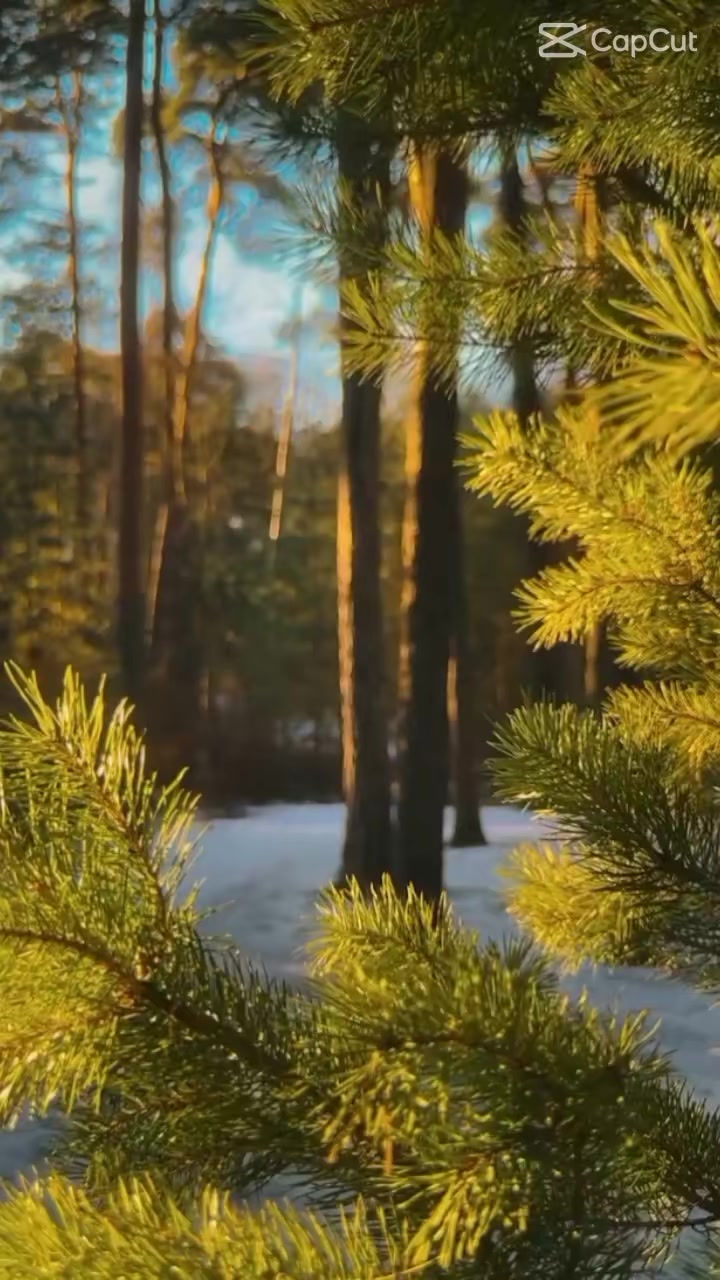 @🦋⃟ᴠͥɪͣᴘͫ✮⃝🇲Radhitgm𝄟⃝