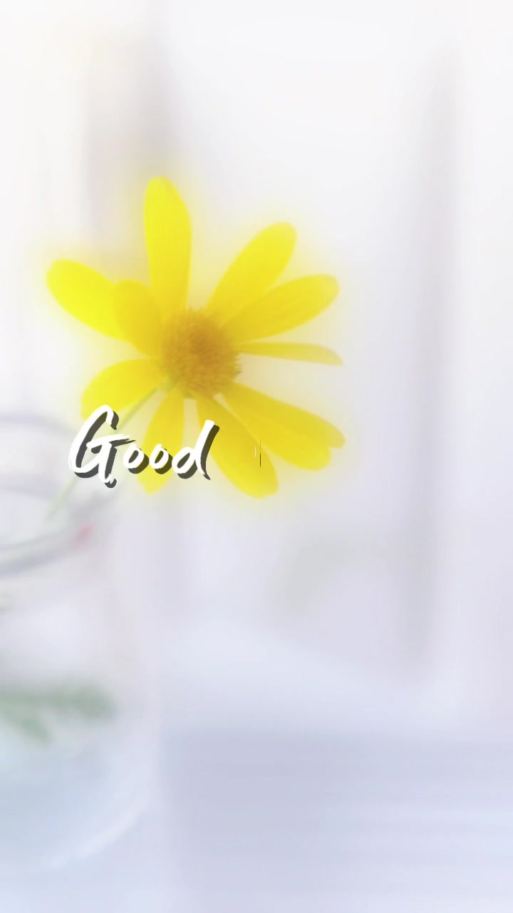 @Yingtom🧿🍀