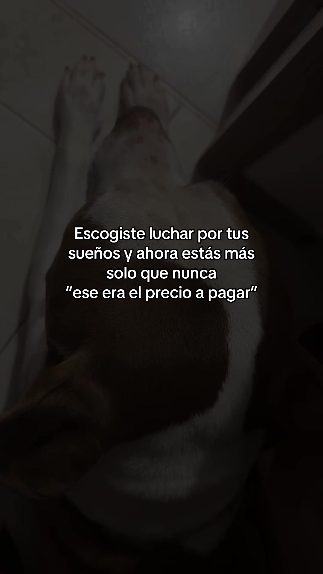 @The Samu