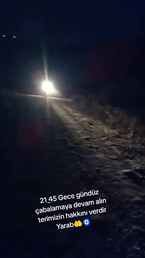 @Saliha Yavuz