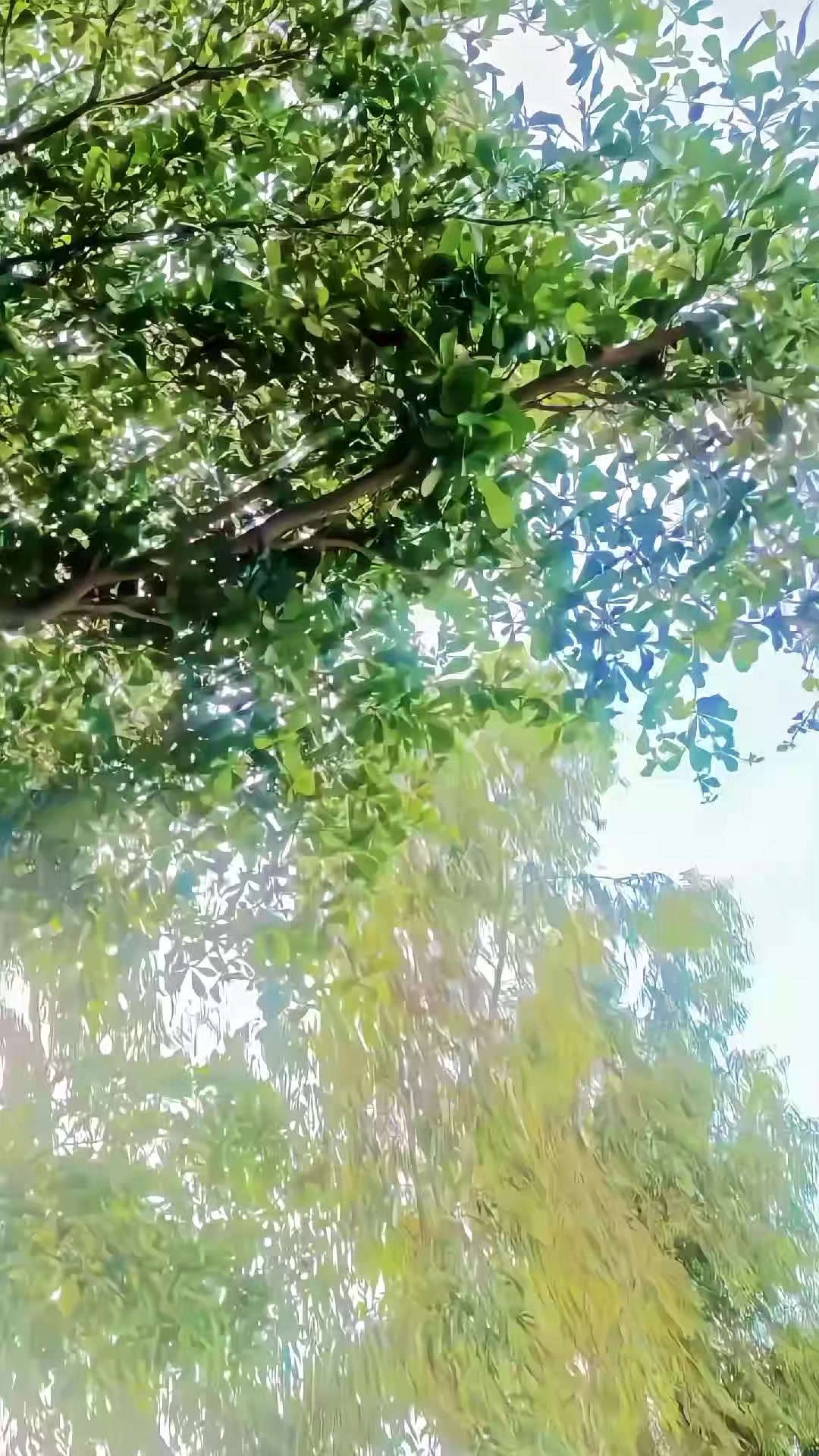@𓆩💜𓆪❝✧𝖭𝗮𝒗ⲉ𝒆Ԁ❀𓆩💜𓆪 💔🩸