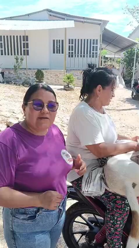 @BelitaPets
